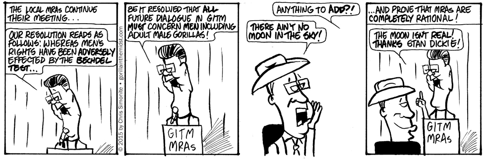 Are MRAs Stupid? You Decide…