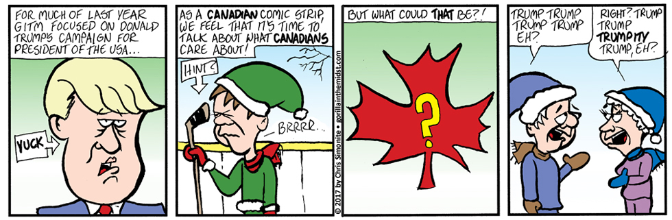 What Canadians Care About